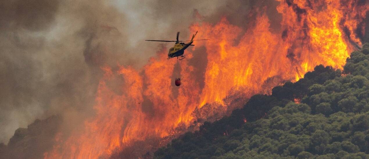 Los Incendios forestales y el cambio climatico1