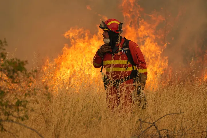 Los Incendios forestales y el cambio climatico2