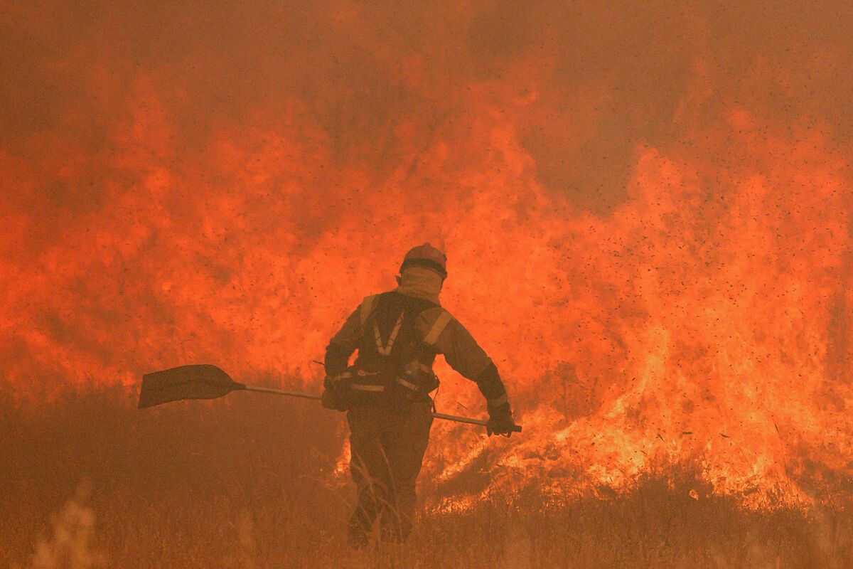 Los Incendios forestales y el cambio climatico3