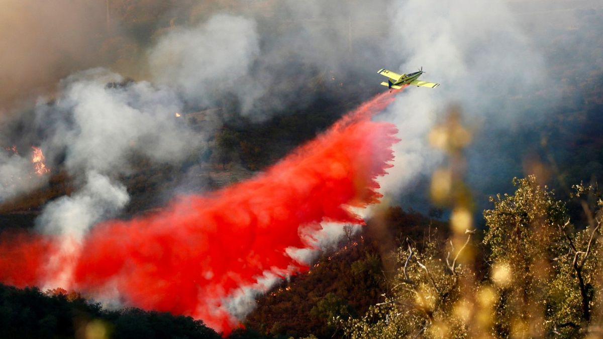 Los Incendios forestales y el cambio climatico4