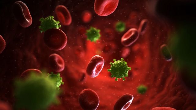 Vacunas logran respuesta inmune frente al VIH6