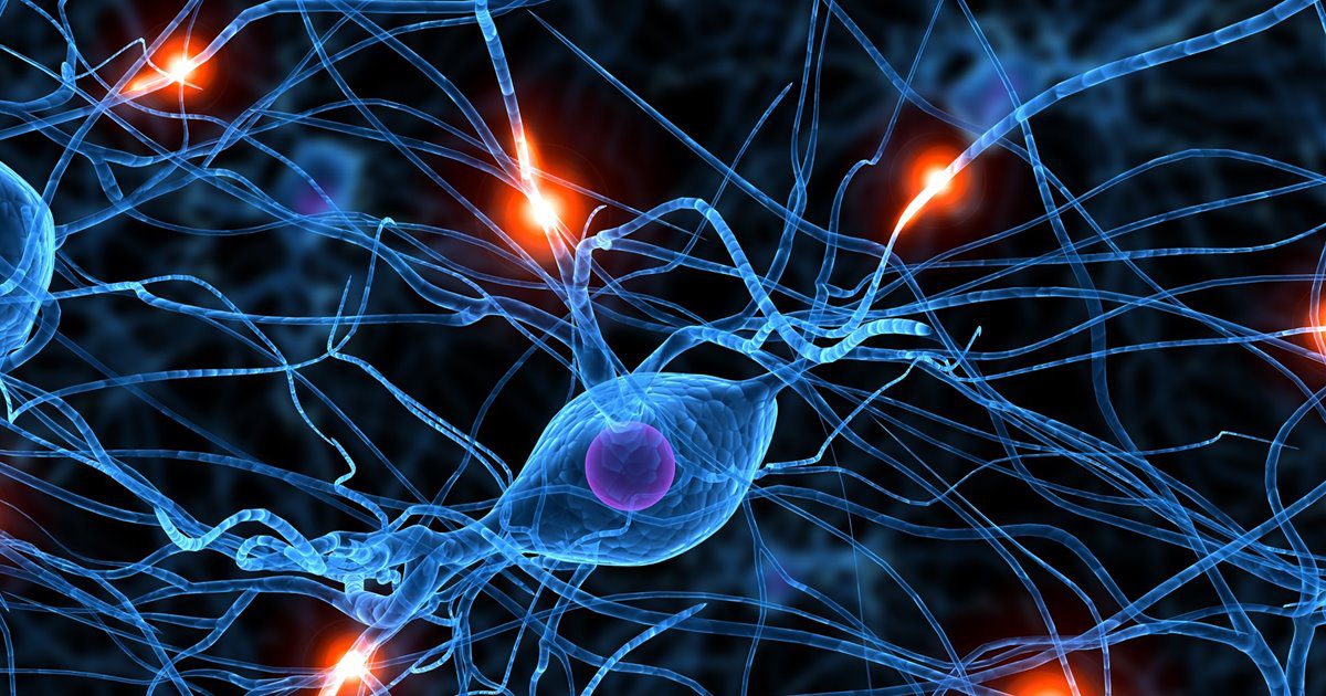 Descubren un nuevo tipo de sinapsis en el cerebro3