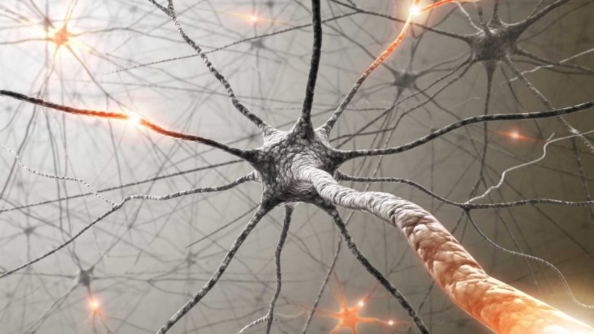 Neurona astrocito ayuda entender depresion y adicciones1