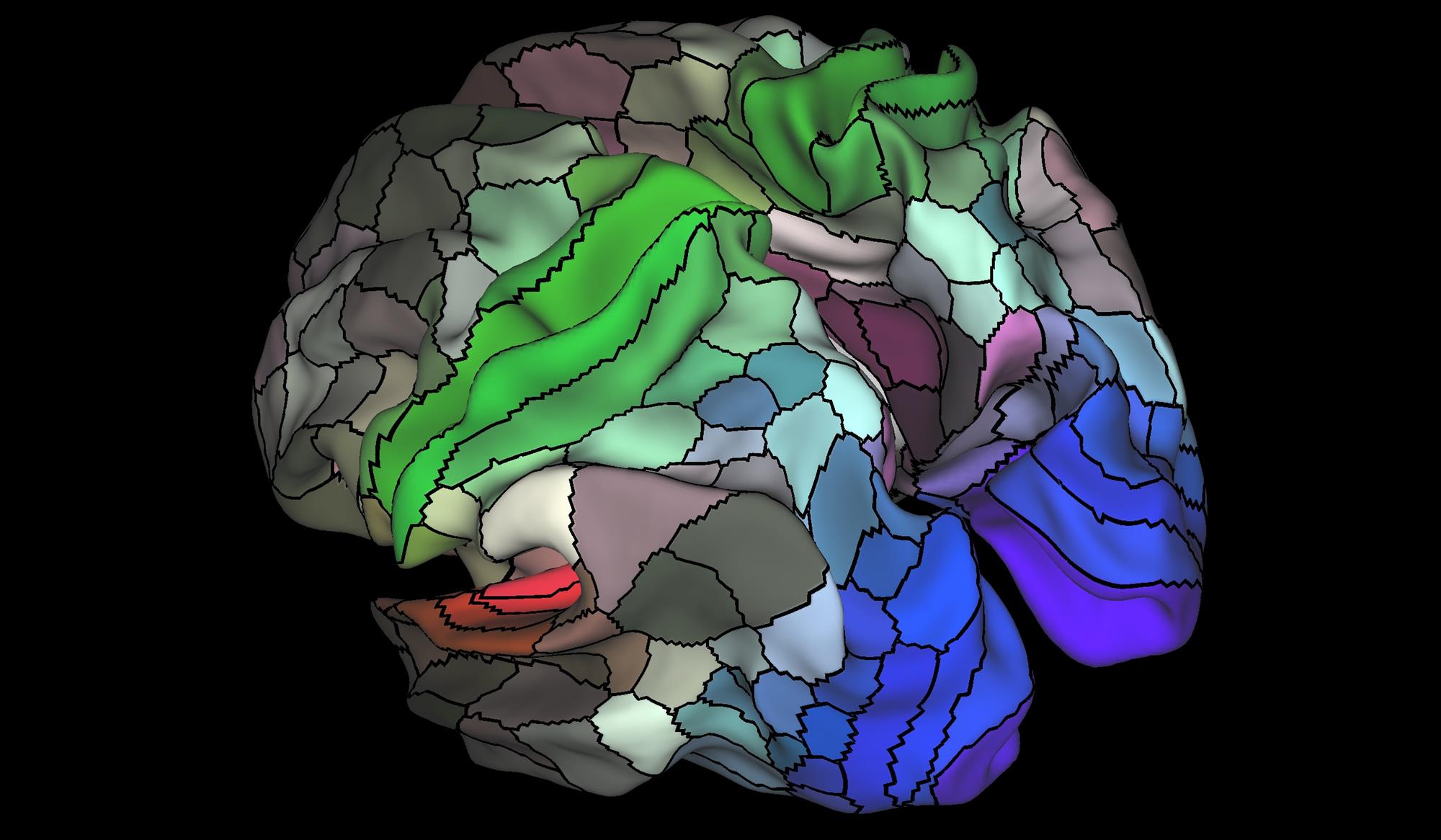 mapeo espacial en el cerebro