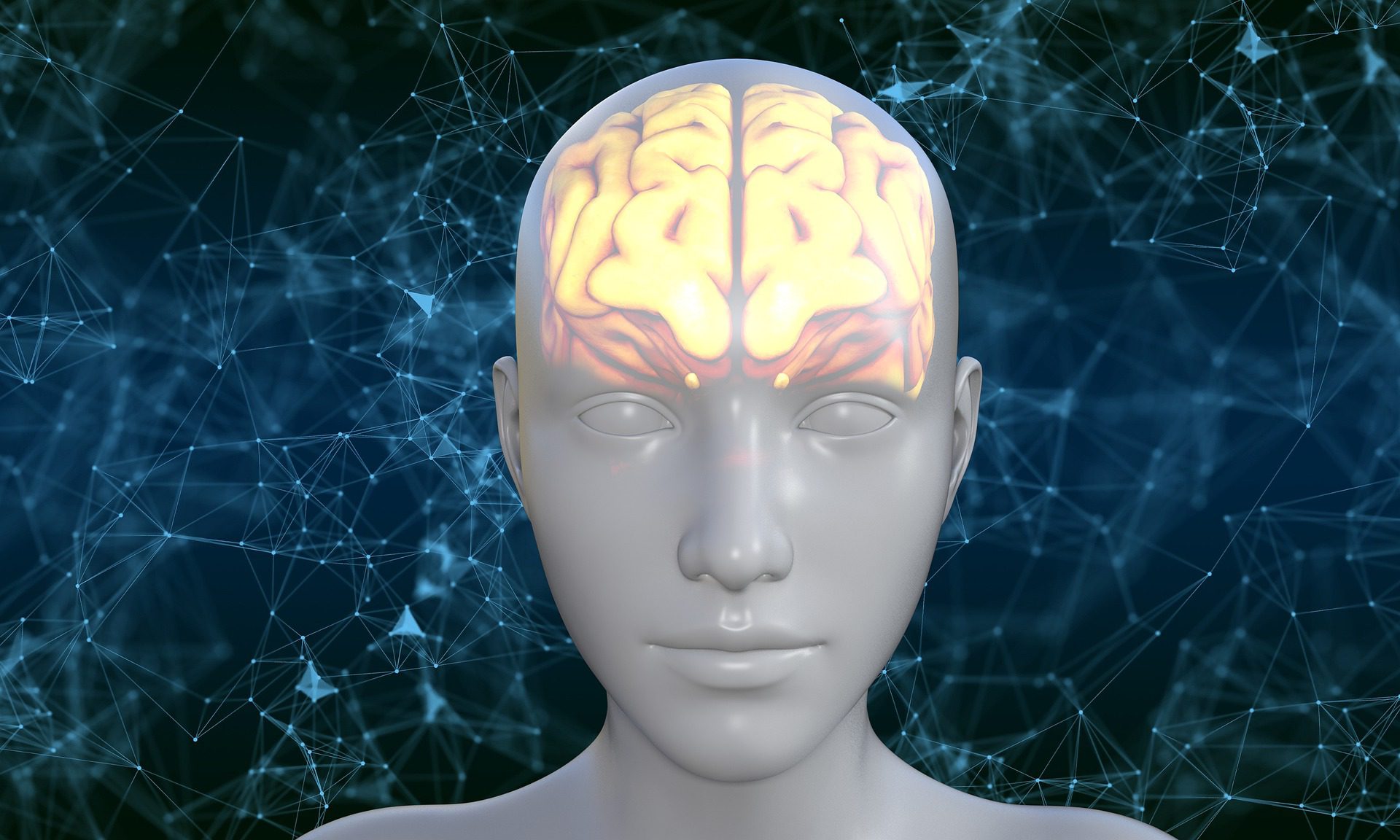 reparar cerebro sinapsis portada