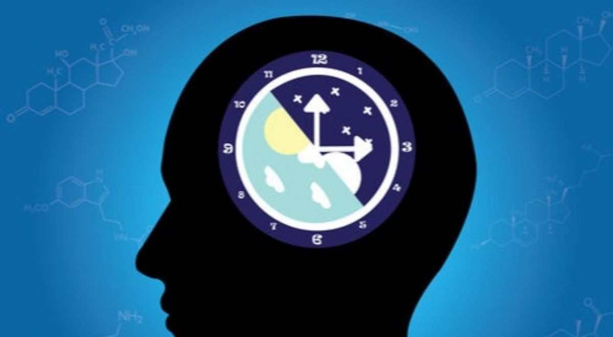 Los ritmos circadianos influyen en nuestro bienestar8