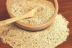 Variedades de quinoa estrategias para afrontar la sequia4