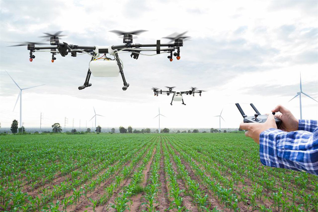 Drones escogen cereal que produzca bioetanol