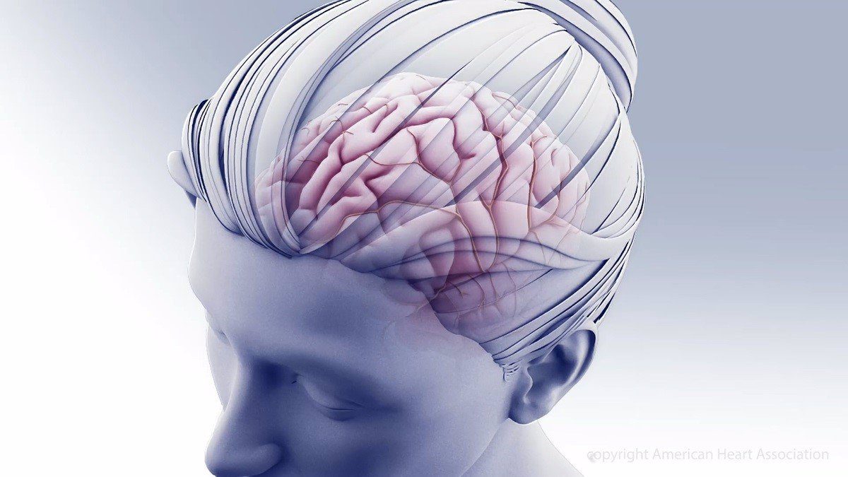 El cerebro adulto puede formar nuevos recuerdos