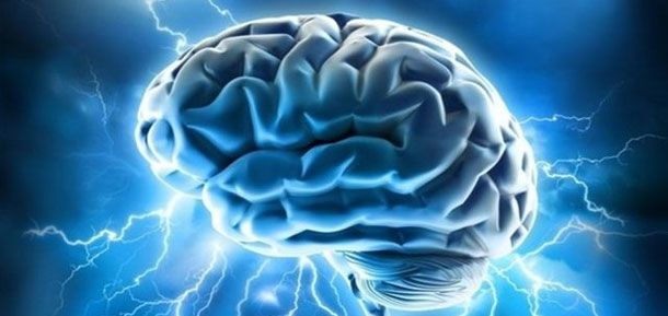 El cerebro adulto puede formar nuevos recuerdos3