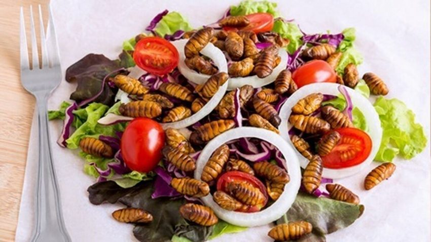 Consumo de insectos ¿la dieta del futuro2
