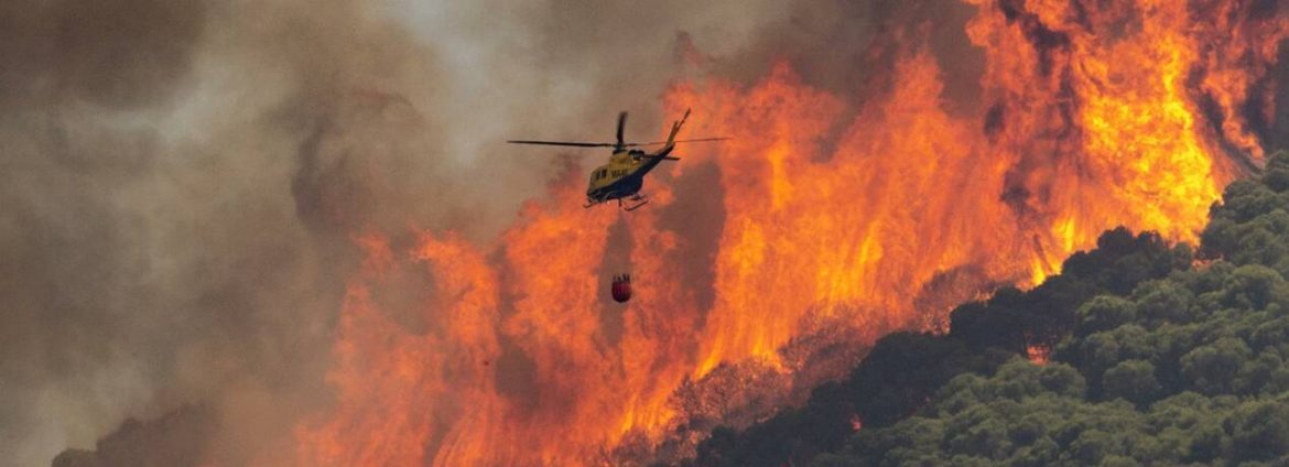 España: Una oleada de "incendios provocados" sin precedentes