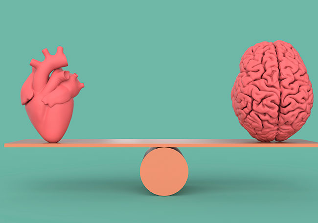 Salud de corazón y del cerebro vía de doble sentido
