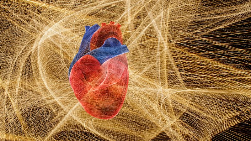 Salud de corazón y del cerebro vía de doble sentido
