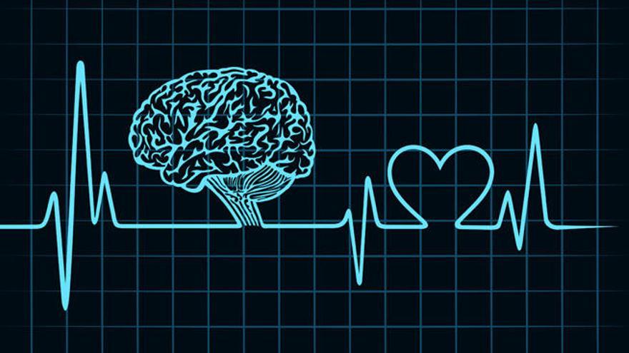 Salud de corazón y del cerebro, vía de doble sentido